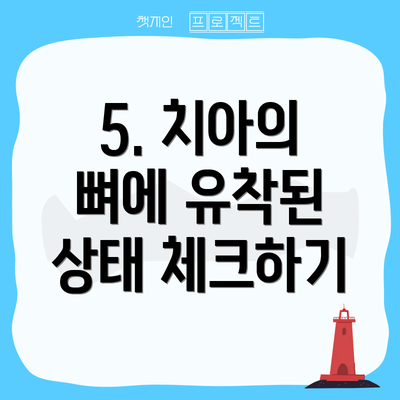 5. 치아의 뼈에 유착된 상태 체크하기