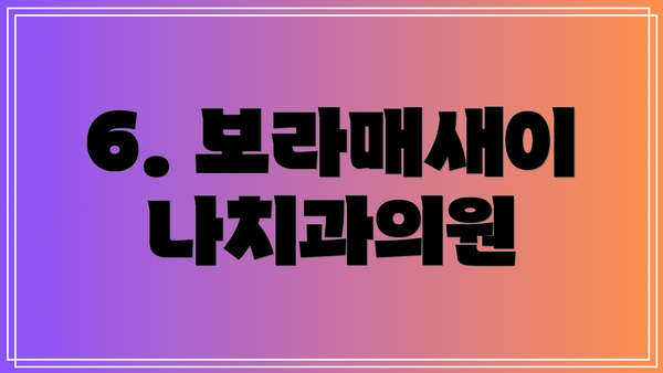 6. 보라매새이나치과의원