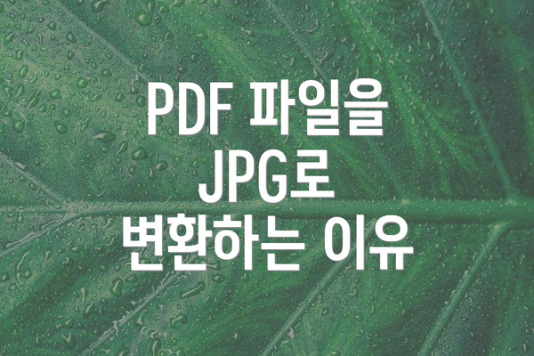 PDF 파일을 JPG로 변환하는 이유